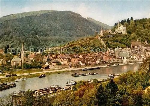 AK / Ansichtskarte Hirschhorn Neckar Panorama  Kat. Hirschhorn (Neckar)