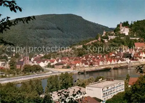 AK / Ansichtskarte Hirschhorn Neckar Panorama  Kat. Hirschhorn (Neckar)