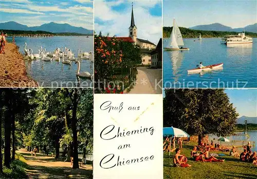 AK / Ansichtskarte Chieming Chiemsee Segelboot Schwan Badesee Kat. Chieming