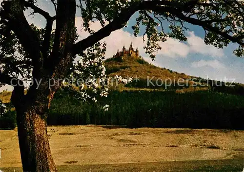 AK / Ansichtskarte Burg Hohenzollern  Kat. Bisingen