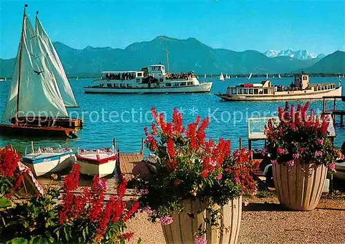 AK / Ansichtskarte Chiemsee Uferpromenade Anleger Ausflugsboote Segelboot Alpenblick Kat. Chiemsee