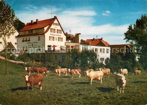 AK / Ansichtskarte Winterkasten Lindenfels Gasthaus Pension zur Traube Viehweide Kuehe Kat. Lindenfels