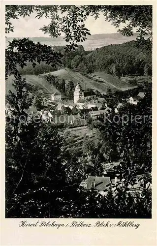 AK / Ansichtskarte Suelzhayn Blick vom Muehlberg Kat. Ellrich