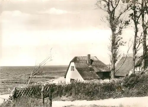 AK / Ansichtskarte Ahrenshoop Ostseebad Am Steilufer  Kat. Ahrenshoop