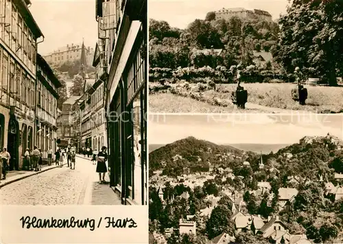 AK / Ansichtskarte Blankenburg Harz Traenkestrasse Schlosspark  Kat. Blankenburg