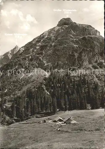 AK / Ansichtskarte Baad Mittelberg Kleinwalsertal Baerguntalpe Grosser Widderstein Kat. Mittelberg