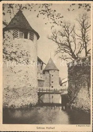 AK / Ansichtskarte Seengen AG Schloss Hallwil Kat. Seengen