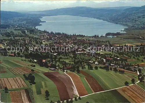 AK / Ansichtskarte Hallwilersee Fliegeraufnahme Kat. Hallwil