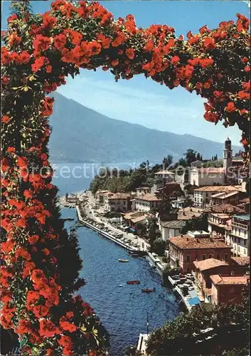 AK / Ansichtskarte Limone sul Garda Panorama Gardasee Rosenbusch Kat. 