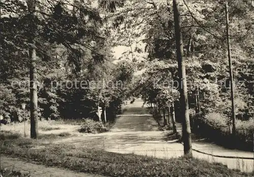 AK / Ansichtskarte Heringsdorf Ostseebad Usedom Kurpark Waldweg Kat. Heringsdorf