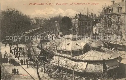 AK / Ansichtskarte Perpignan Place Arago Palmarium et Canigou Kat. Perpignan