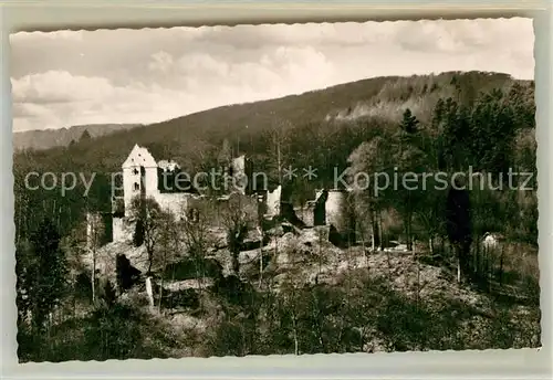 AK / Ansichtskarte Neckargerach Minneburg Kat. Neckargerach