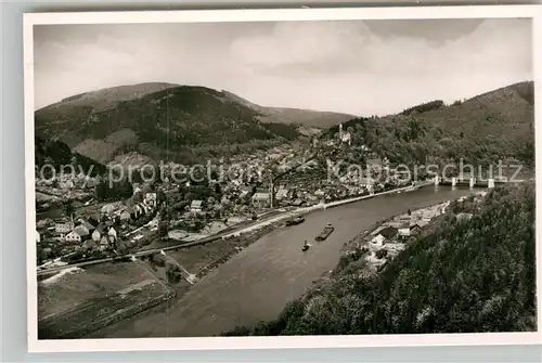 AK / Ansichtskarte Hirschhorn Neckar Panorama  Kat. Hirschhorn (Neckar)