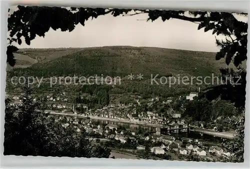 AK / Ansichtskarte Hirschhorn Neckar Gesamtansicht  Kat. Hirschhorn (Neckar)