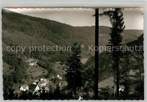 AK / Ansichtskarte Struempfelbrunn Panorama  Kat. Waldbrunn