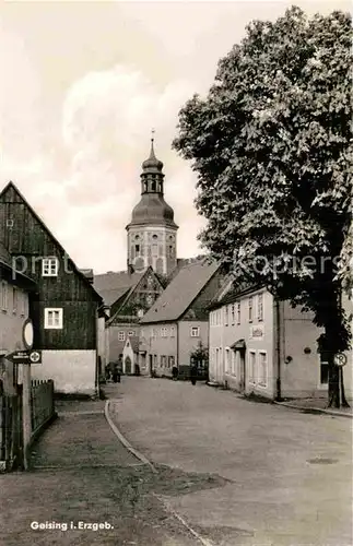 AK / Ansichtskarte Geising Erzgebirge Dorfpartie Kat. Geising Osterzgebirge