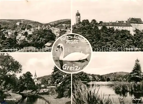 AK / Ansichtskarte Greiz Thueringen Schloss Parksee Elster Schwan  Kat. Greiz