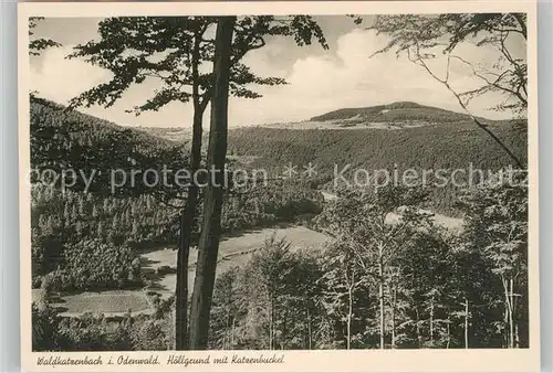 AK / Ansichtskarte Waldkatzenbach Gasthof Fremdenheim zum Loewen Kat. Waldbrunn