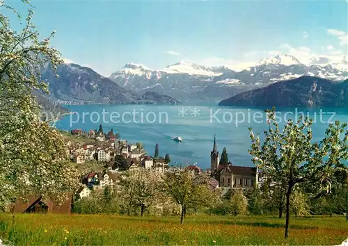 AK / Ansichtskarte Weggis Vierwaldstaettersee Panorama 