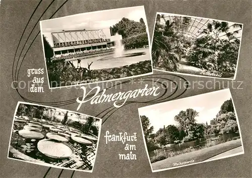 AK / Ansichtskarte Frankfurt Main Gesellschaftshaus Palmenhaus Weiherpartie Kat. Frankfurt am Main