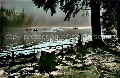 AK / Ansichtskarte Arbersee Partie am See Kat. Bayerisch Eisenstein