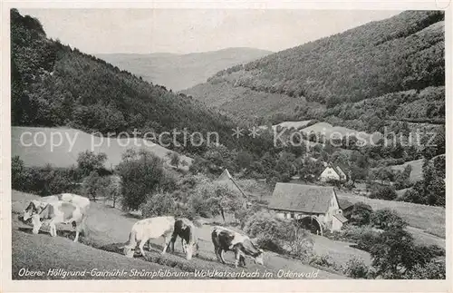 AK / Ansichtskarte Waldkatzenbach Oberer Hoellgrund Gaimuehl Struempfelbrunn Kat. Waldbrunn