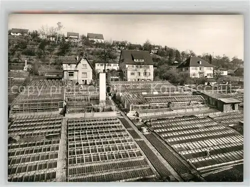 AK / Ansichtskarte Tuebingen Blumen Endriss  Kat. Tuebingen