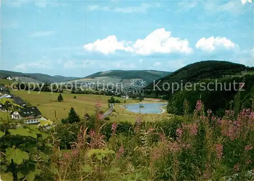 AK / Ansichtskarte Willingen Sauerland Naturpark Diemelsee Strycktal Kat. Willingen (Upland)