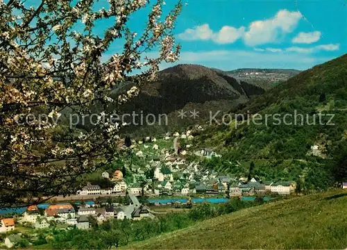 AK / Ansichtskarte Dausenau Panorama Kat. Dausenau