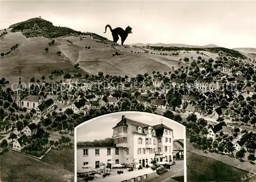 AK / Ansichtskarte Waldkatzenbach Gasthof Erholungsheim Katzenbuckel Kat. Waldbrunn