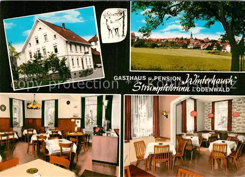 AK / Ansichtskarte Struempfelbrunn Gasthof Pension Winterhauch  Kat. Waldbrunn