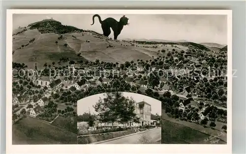 AK / Ansichtskarte Waldkatzenbach Panorama Katzenbuckel Kat. Waldbrunn