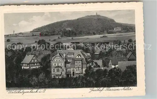 AK / Ansichtskarte Waldkatzenbach Gasthof Pension Adler Kat. Waldbrunn