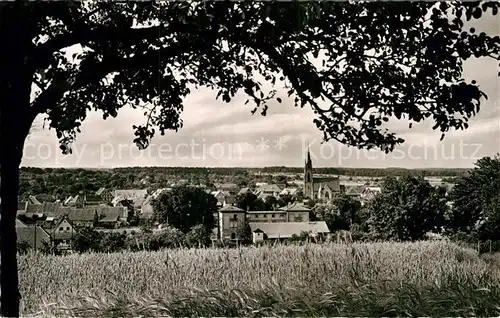 AK / Ansichtskarte Bad Rappenau Panorama Kirce Kat. Bad Rappenau