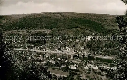 AK / Ansichtskarte Hirschhorn Neckar Panorama Kat. Hirschhorn (Neckar)