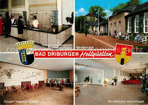 AK / Ansichtskarte Bad Driburg Heilquellen Wandelhalle Konzertsaal Kat. Bad Driburg