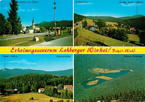 AK / Ansichtskarte Lohberg Lam Erholungszentrum Lohberger Winkel Sommerau Osser Arbersee Zackermuehle Kat. Lohberg