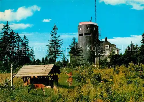 AK / Ansichtskarte Astenturm Hochsauerland Wild Kat. Winterberg