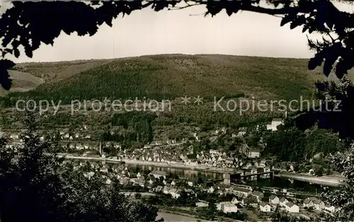 AK / Ansichtskarte Hirschhorn Neckar Panorama Kat. Hirschhorn (Neckar)