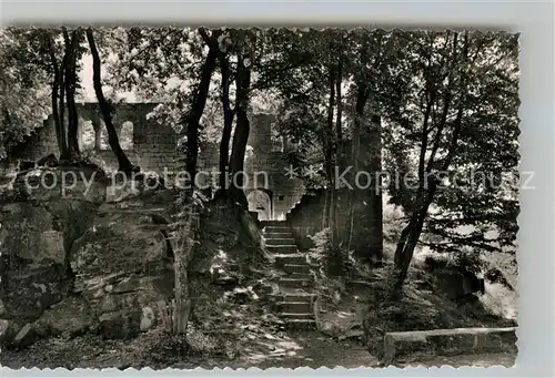 AK / Ansichtskarte Eberbach Neckar Hohenstaufenburg Kat. Eberbach