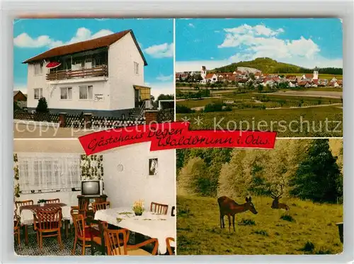 AK / Ansichtskarte Waldbrunn Odenwald Gaestehaus Degen Kat. Waldbrunn