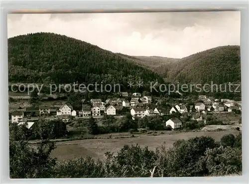 AK / Ansichtskarte Langenthal Odenwald Teilansicht  Kat. Hirschhorn (Neckar)