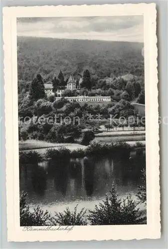 AK / Ansichtskarte Neckargemuend Blick ueber den Neckar zum Erholungsheim Kuemmelbacherhof Kupfertiefdruck Kat. Neckargemuend