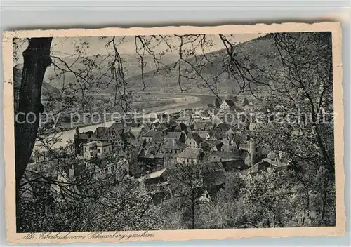 AK / Ansichtskarte Eberbach Neckar Panorama Kat. Eberbach