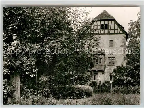 AK / Ansichtskarte Neckarbischofsheim Steinernes Haus Kat. Neckarbischofsheim