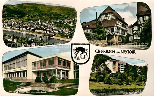 AK / Ansichtskarte Eberbach Neckar Kurhaus Sanatorium Hof Panorama Kat. Eberbach