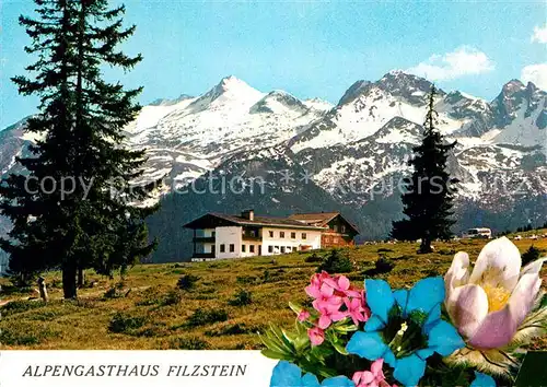 AK / Ansichtskarte Filzstein Alpengasthaus Kat. Oesterreich