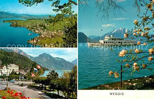 AK / Ansichtskarte Weggis Vierwaldstaettersee Fliegeraufnahme Promenade Fahrgastschiff