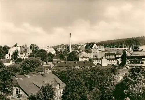 AK / Ansichtskarte Wernesgruen Teilansicht  Kat. Steinberg Vogtland