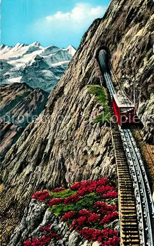 AK / Ansichtskarte Zahnradbahn Pilatusbahn Eselwand Berneralpen  Kat. Bergbahn